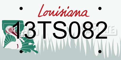 13TS082 Louisiana License Plate