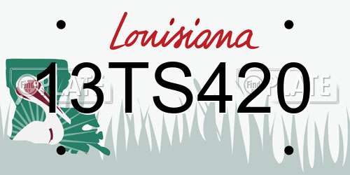 13TS420 Louisiana License Plate