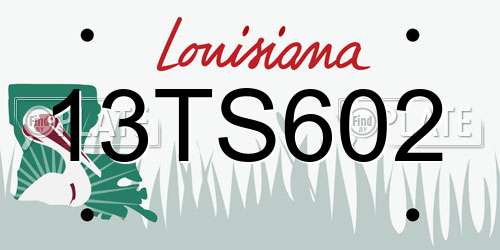 13TS602 Louisiana License Plate