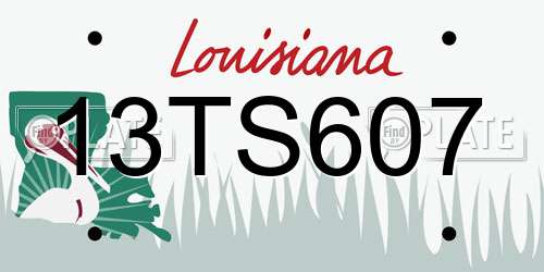 13TS607 Louisiana License Plate