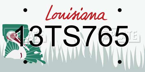 13TS765 Louisiana License Plate
