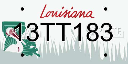 13TT183 Louisiana License Plate