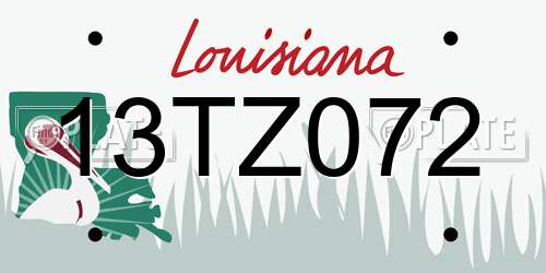 13TZ072 Louisiana License Plate