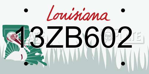 13ZB602 Louisiana License Plate