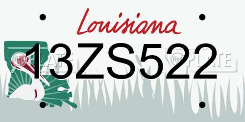 13ZS522 Louisiana License Plate