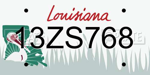 13ZS768 Louisiana License Plate