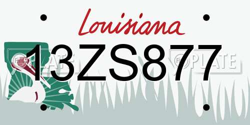 13ZS877 Louisiana License Plate