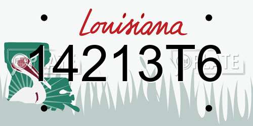 14213T6 Louisiana License Plate