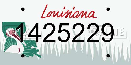 1425229 Louisiana License Plate