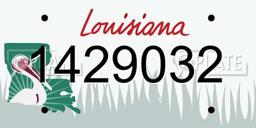 1429032 Louisiana License Plate