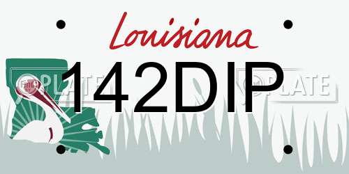 142DIP Louisiana License Plate