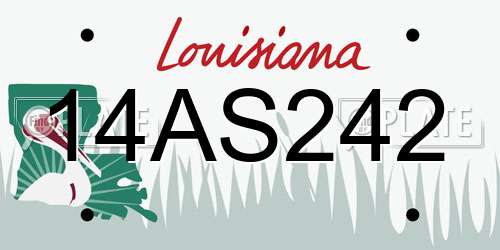 14AS242 Louisiana License Plate
