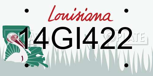 14GI422 Louisiana License Plate
