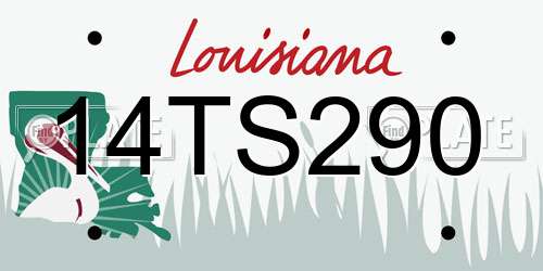 14TS290 Louisiana License Plate