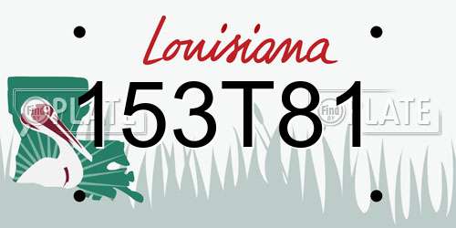 153T81 Louisiana License Plate