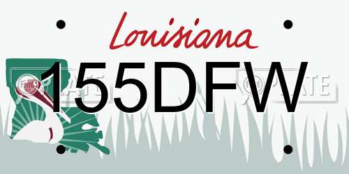 155DFW Louisiana License Plate