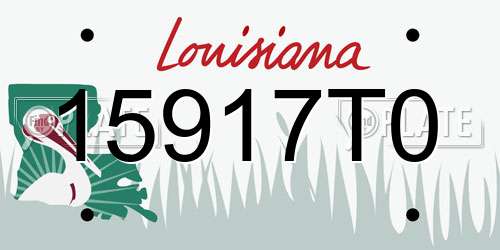 15917T0 Louisiana License Plate