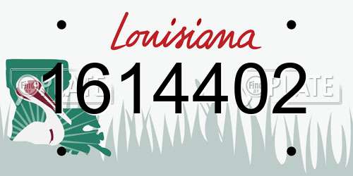 1614402 Louisiana License Plate