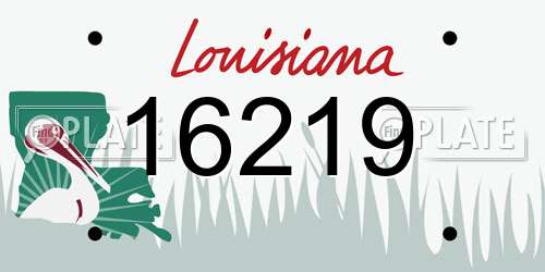 16219 Louisiana License Plate