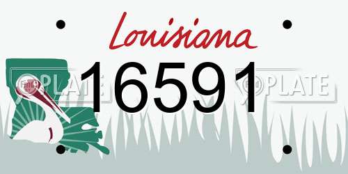 16591 Louisiana License Plate