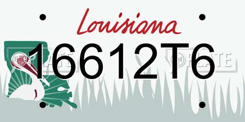 16612T6 Louisiana License Plate