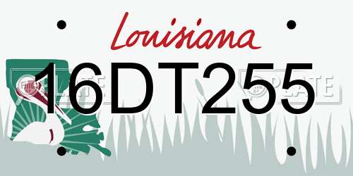 16DT255 Louisiana License Plate