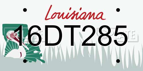 16DT285 Louisiana License Plate