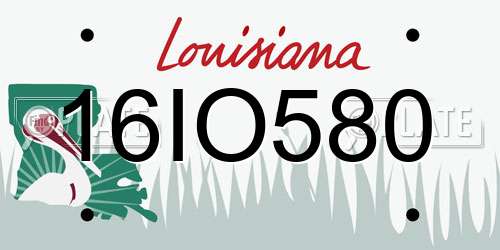 16IO580 Louisiana License Plate