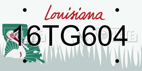 16TG604 Louisiana License Plate