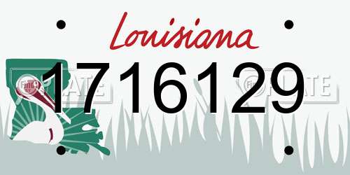 1716129 Louisiana License Plate