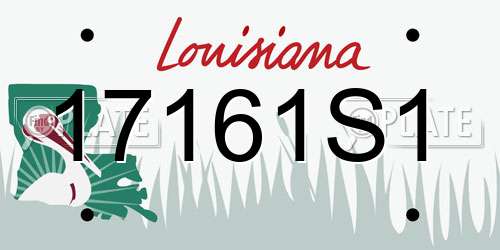 17161S1 Louisiana License Plate