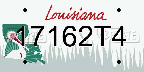 17162T4 Louisiana License Plate