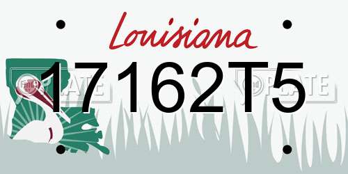 17162T5 Louisiana License Plate