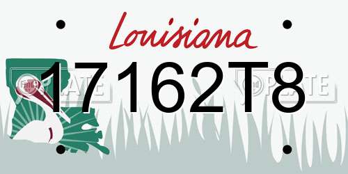 17162T8 Louisiana License Plate