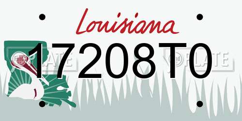 17208T0 Louisiana License Plate