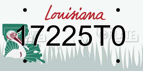 17225T0 Louisiana License Plate