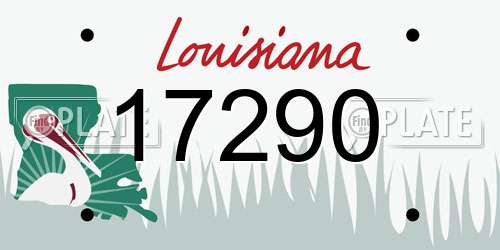 17290 Louisiana License Plate