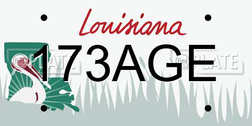 173AGE Louisiana License Plate