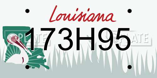 173H95 Louisiana License Plate