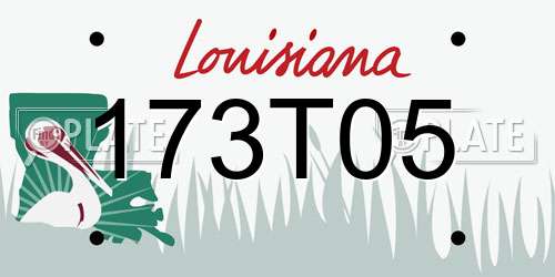 173T05 Louisiana License Plate