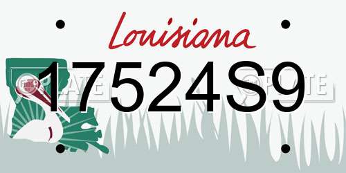 17524S9 Louisiana License Plate