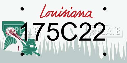 175C22 Louisiana License Plate