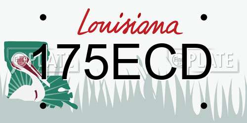 175ECD Louisiana License Plate