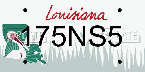 175NS5 Louisiana License Plate