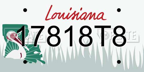 17818T8 Louisiana License Plate