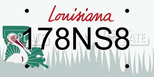 178NS8 Louisiana License Plate