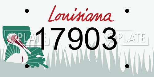 17903 Louisiana License Plate