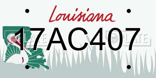 17AC407 Louisiana License Plate