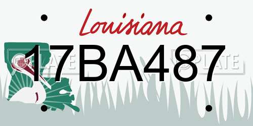17BA487 Louisiana License Plate