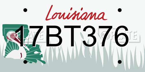 17BT376 Louisiana License Plate